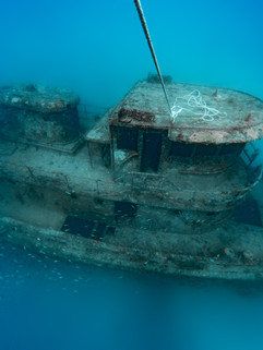 Okinawa Wreck and Reef (2 Tank Open Water Level)