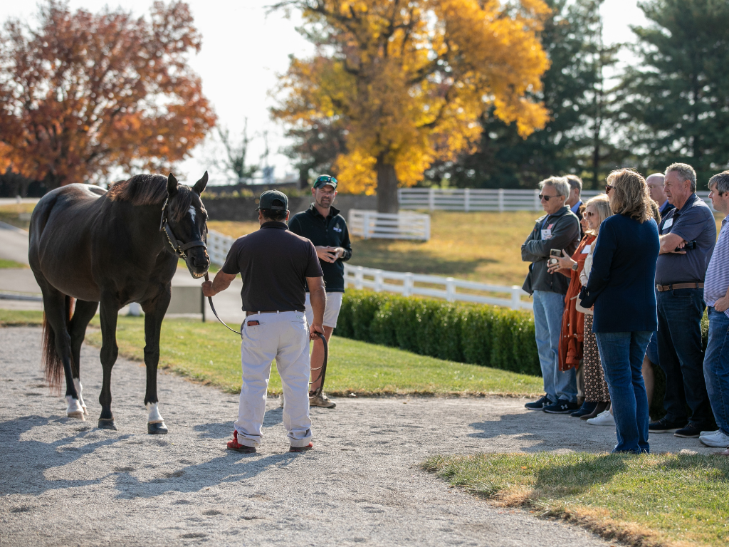 Private Experience at Darby Dan Farm