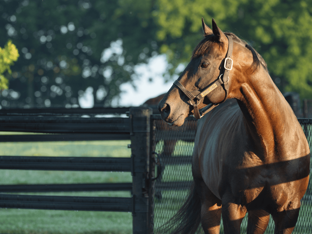 Visit Jonabell Farm | Stallion Complex Walking Tour