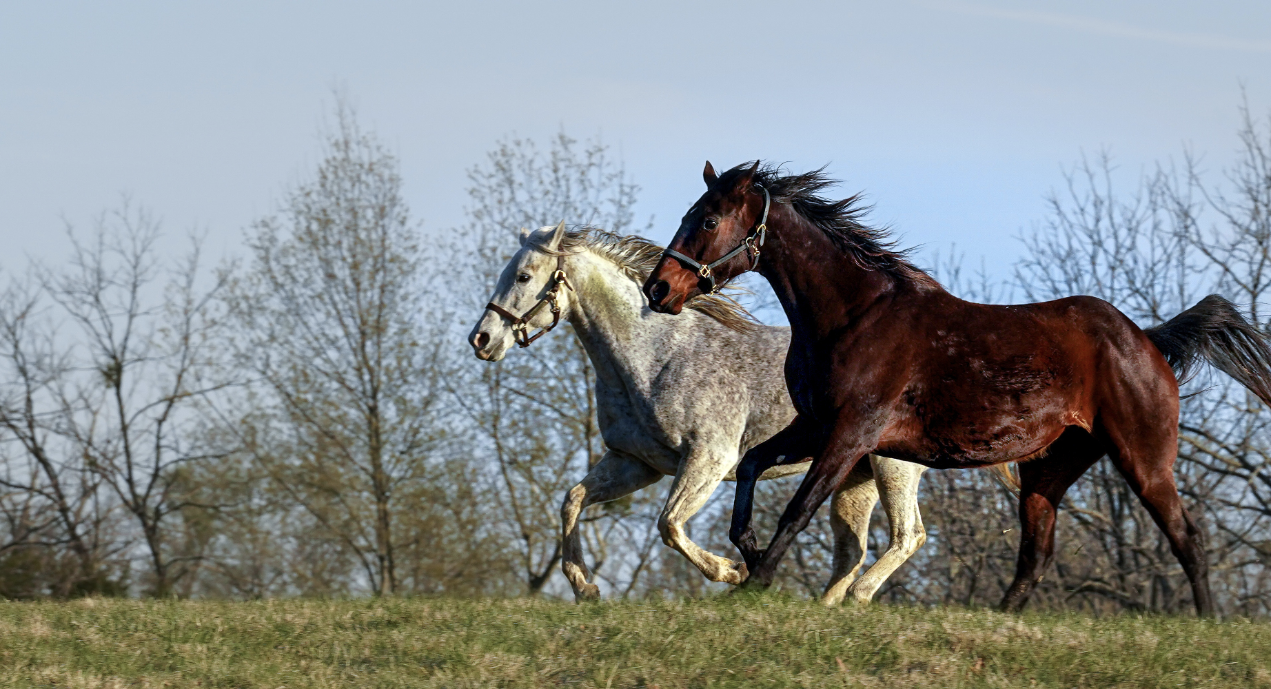 Private Experience at TRF at Chestnut Hall