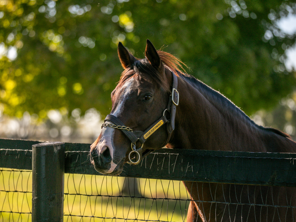 Visit Mill Ridge Farm