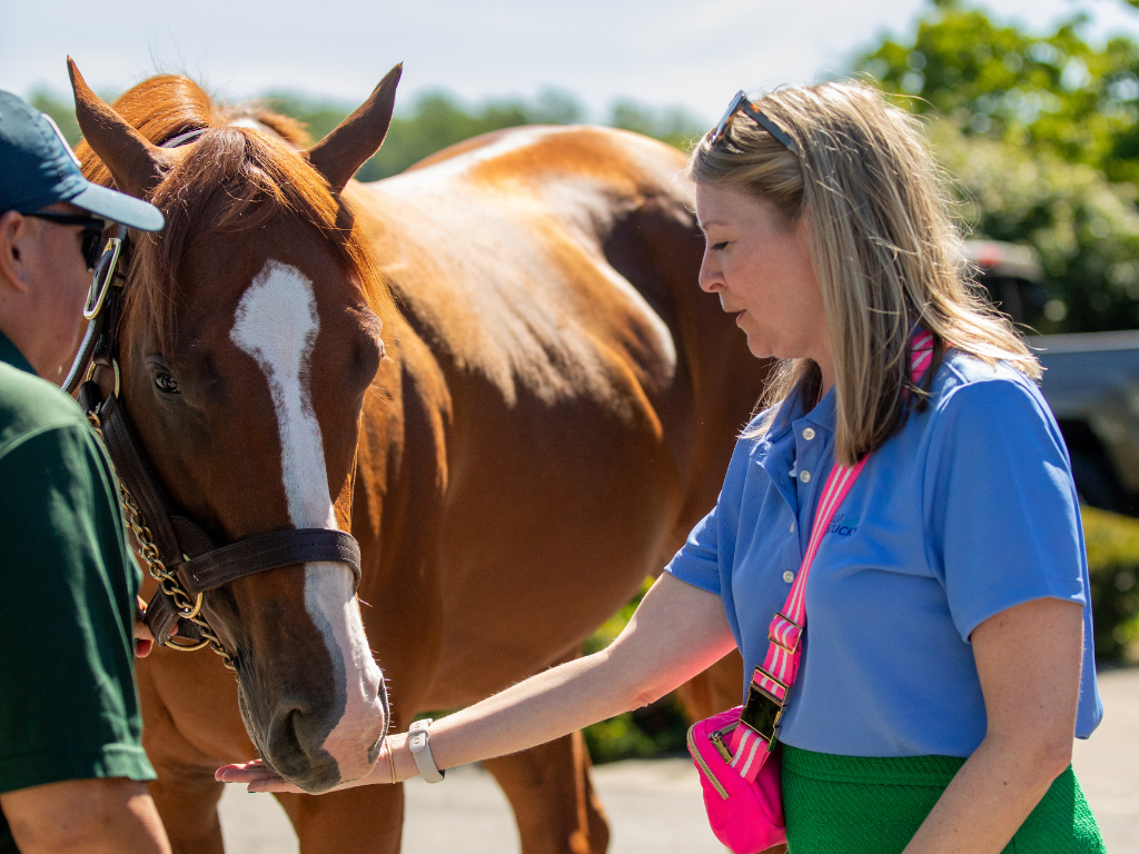 Visit Airdrie Stud