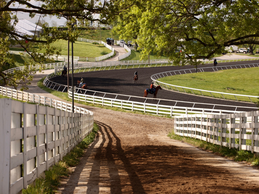 Keeneland Backstretch Tour