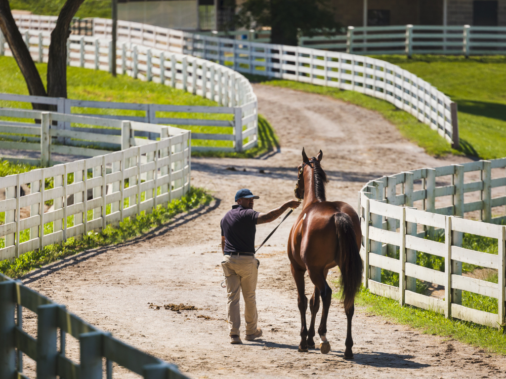 Keeneland Backstretch Tour