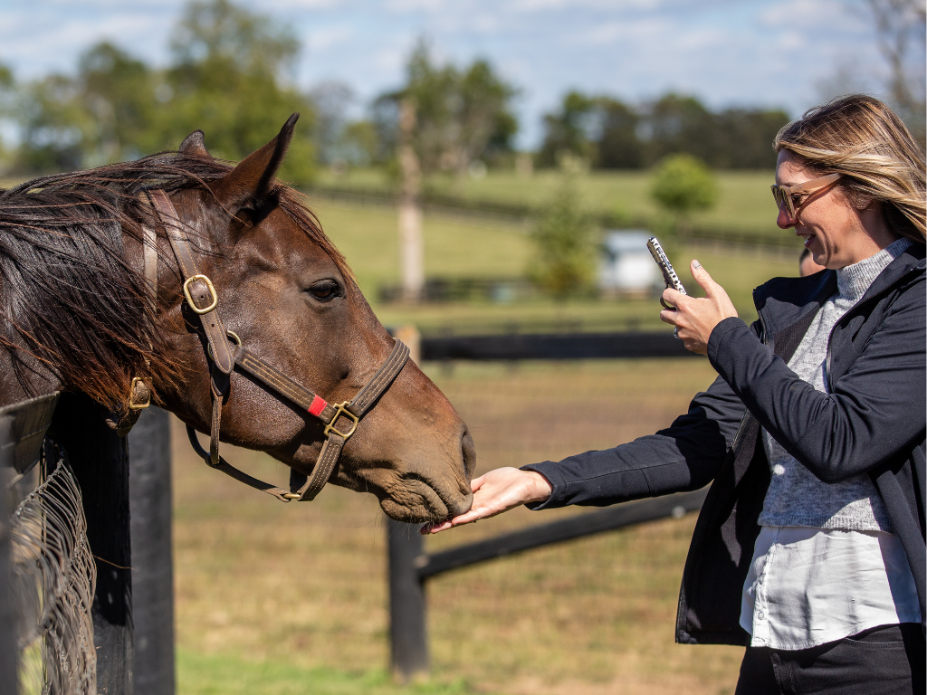 Visit Denali Stud 