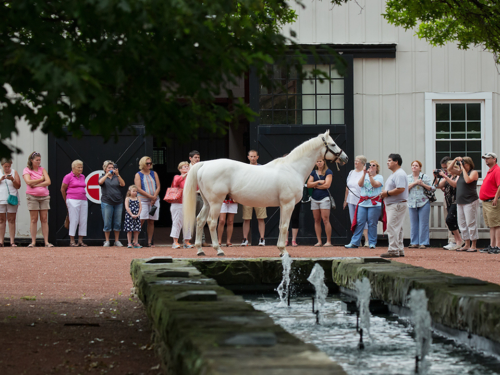 Visit Gainesway Farm