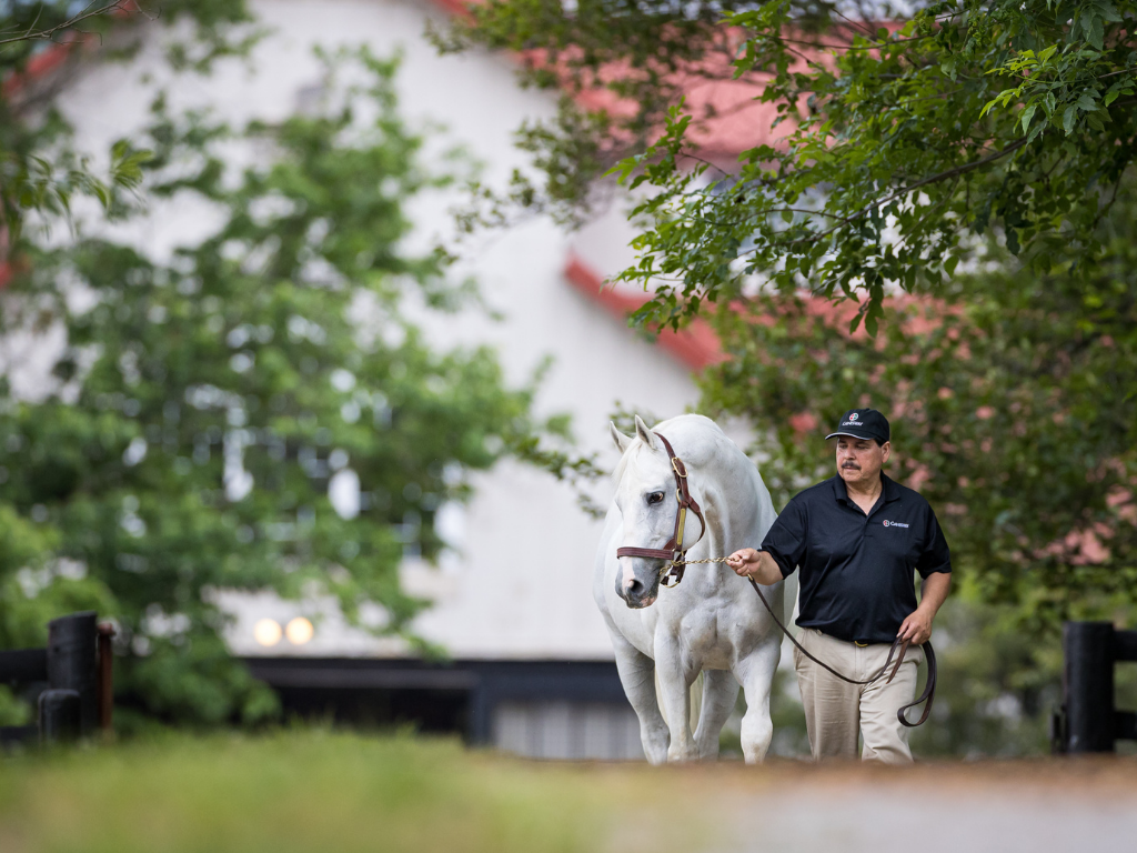 Visit Gainesway Farm