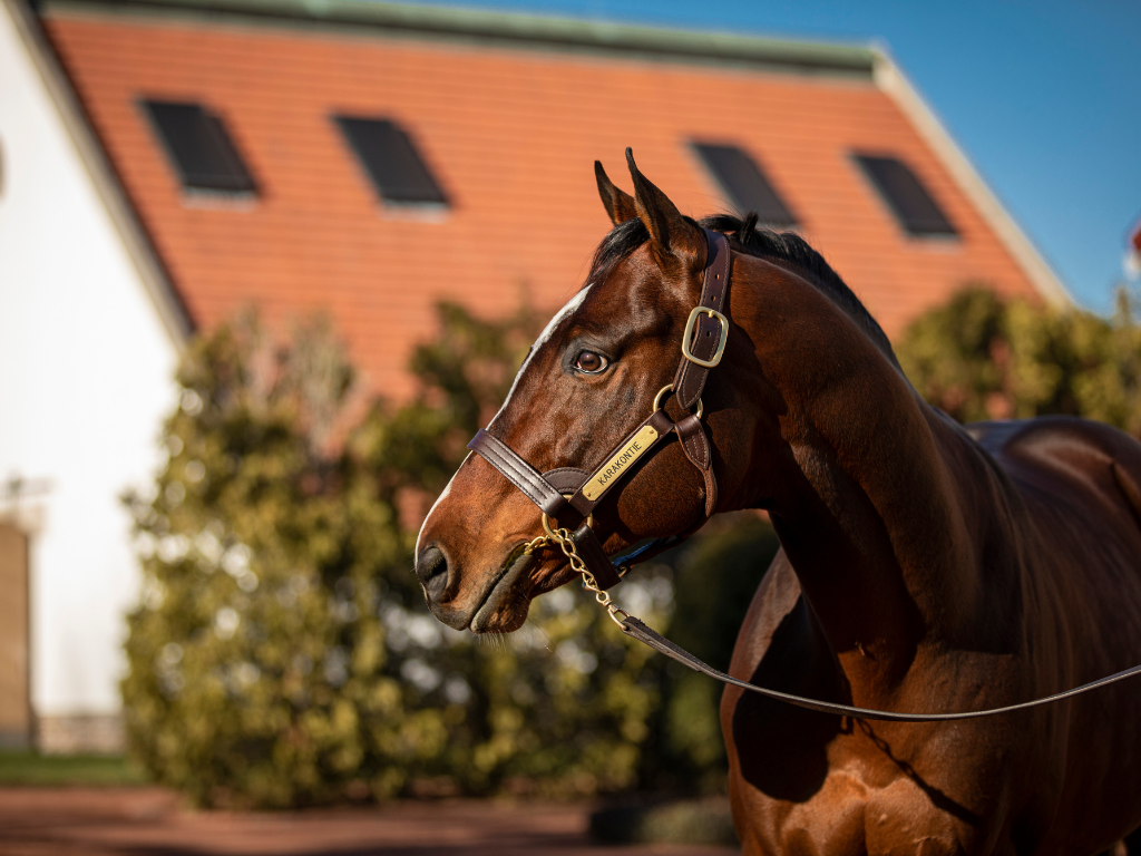 Visit Gainesway Farm