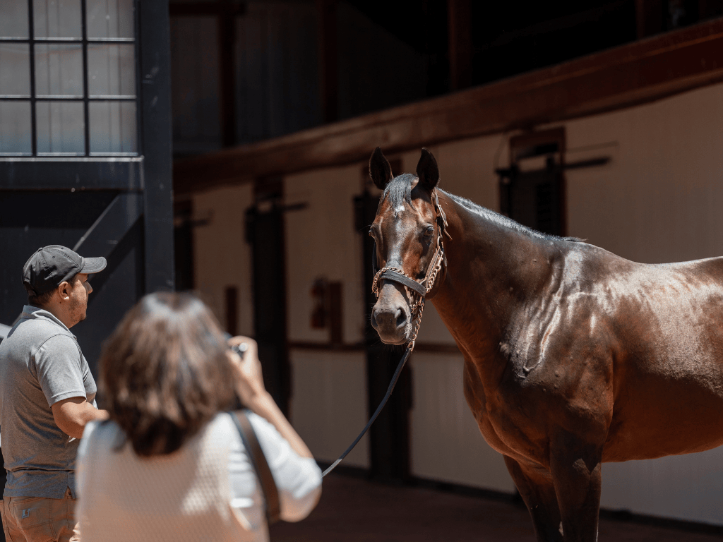 Visit Gainesway Farm