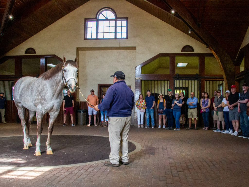 Visit Three Chimneys Farm | Stallion Complex Tour