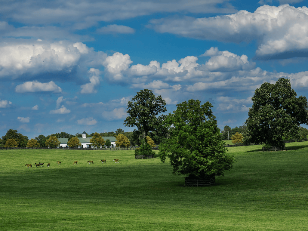 The Spendthrift Farm Shuttle Experience