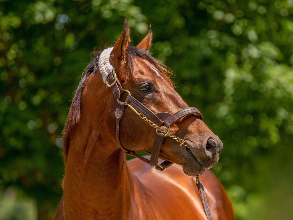 Visit Lane's End Farm | Stallion Complex Tour