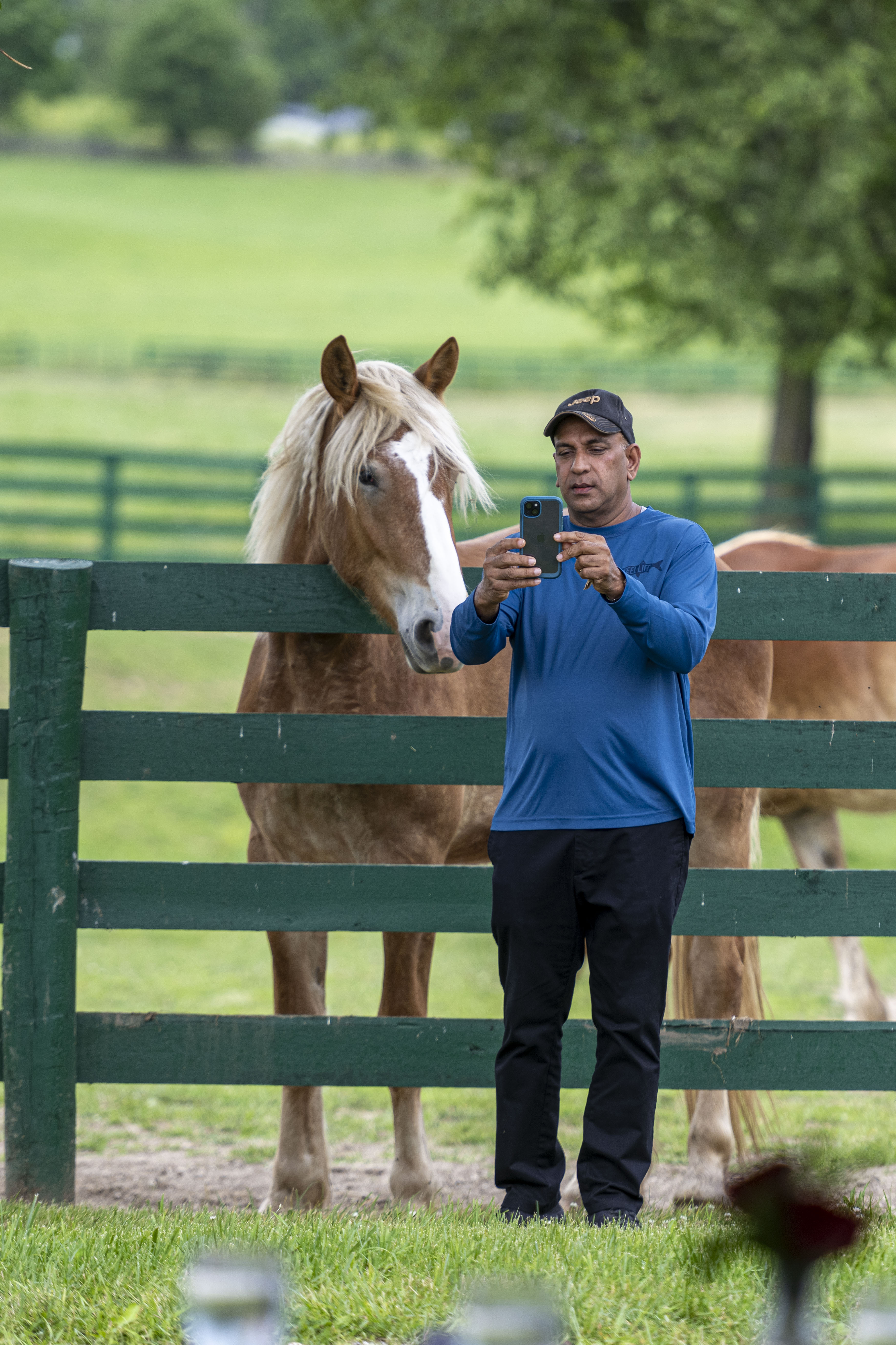 Valentine's "Carrot Gram Tour" at BraveHearts Equine Center – Public Experience