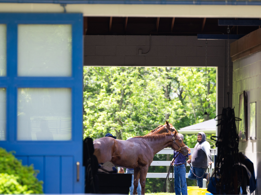 Pin Oak Stud Training Center Experience