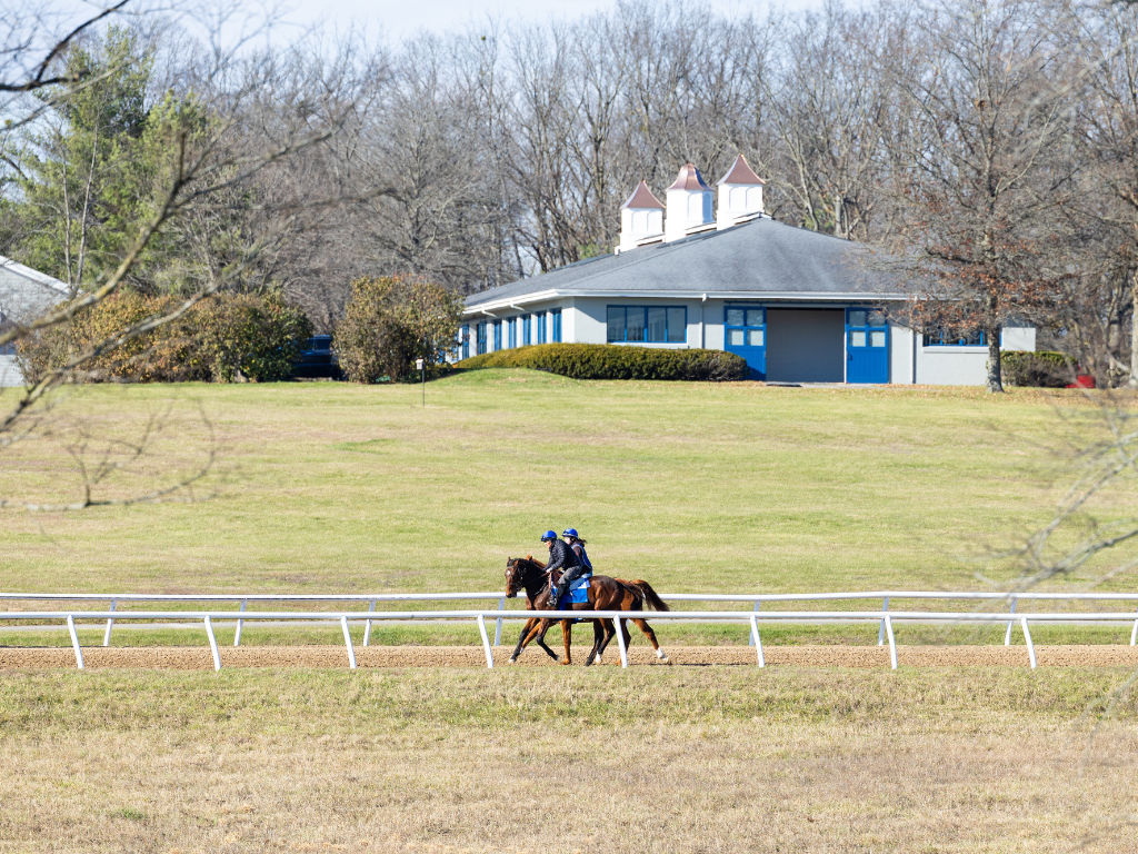 Pin Oak Stud Training Center Experience