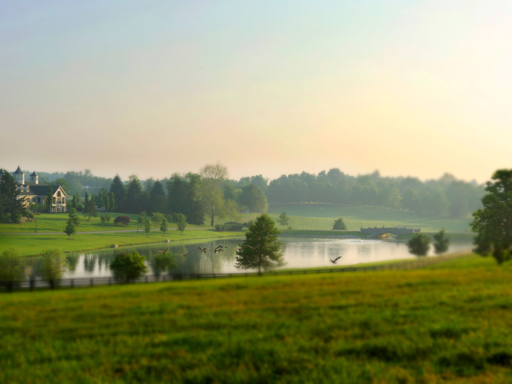 Morning Training Experience at WinStar Farm