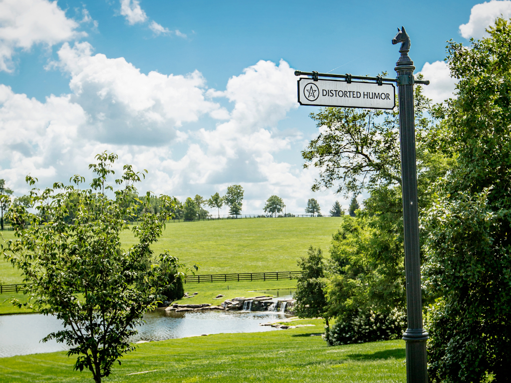 Sunset Walking Tour at WinStar Farm