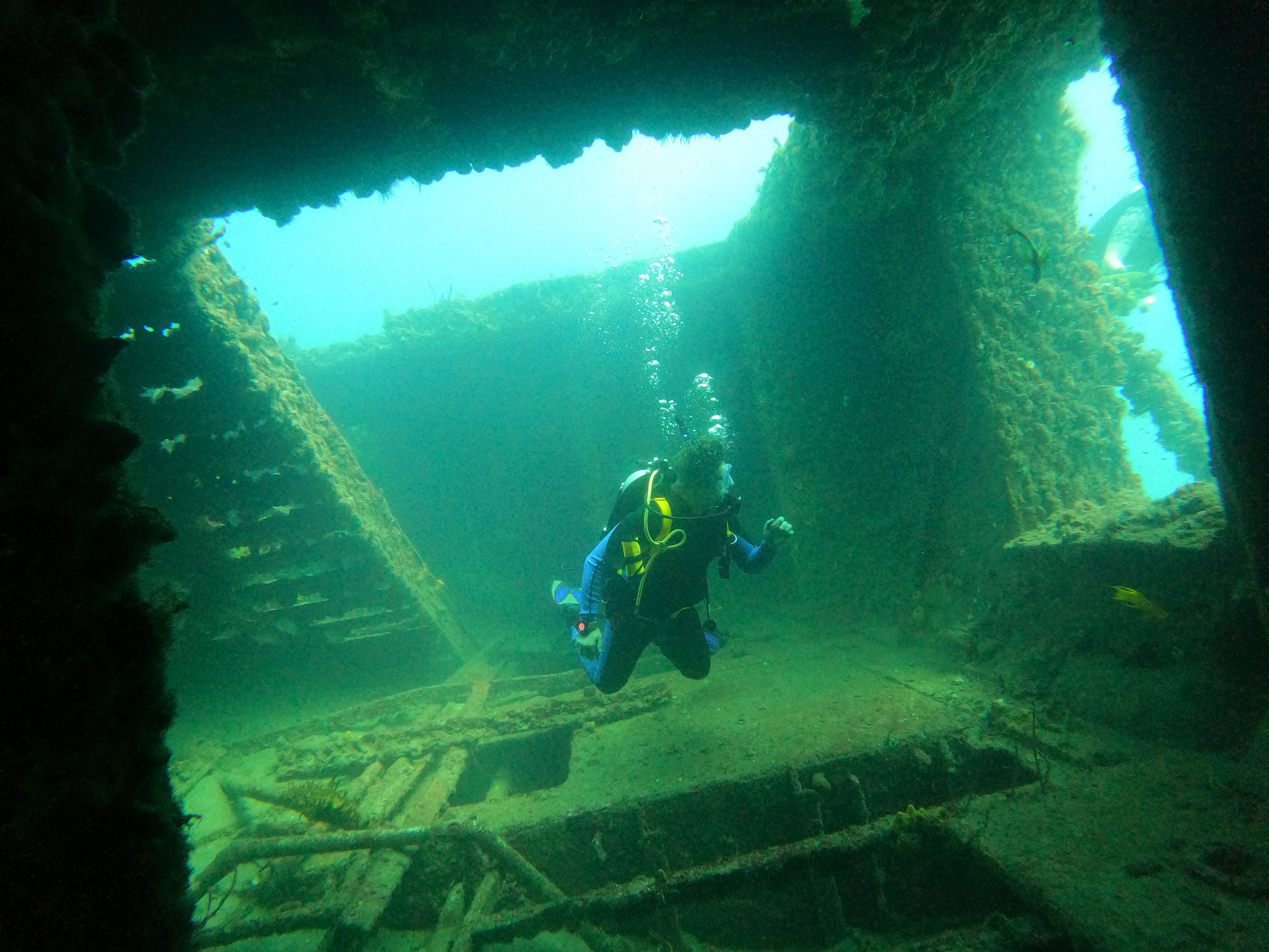 3 Tank Wreck and Reef (OW/AOW)