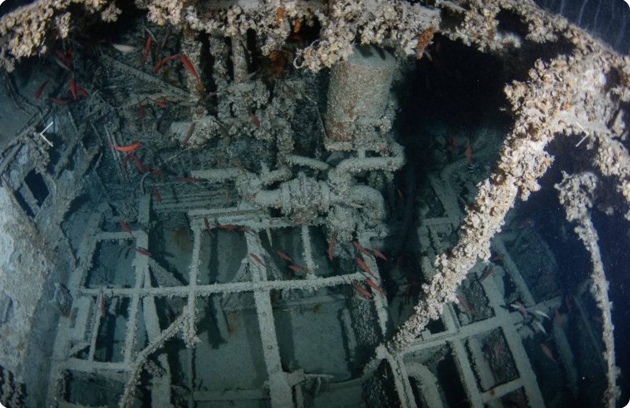 Bulk Trader (Technical)