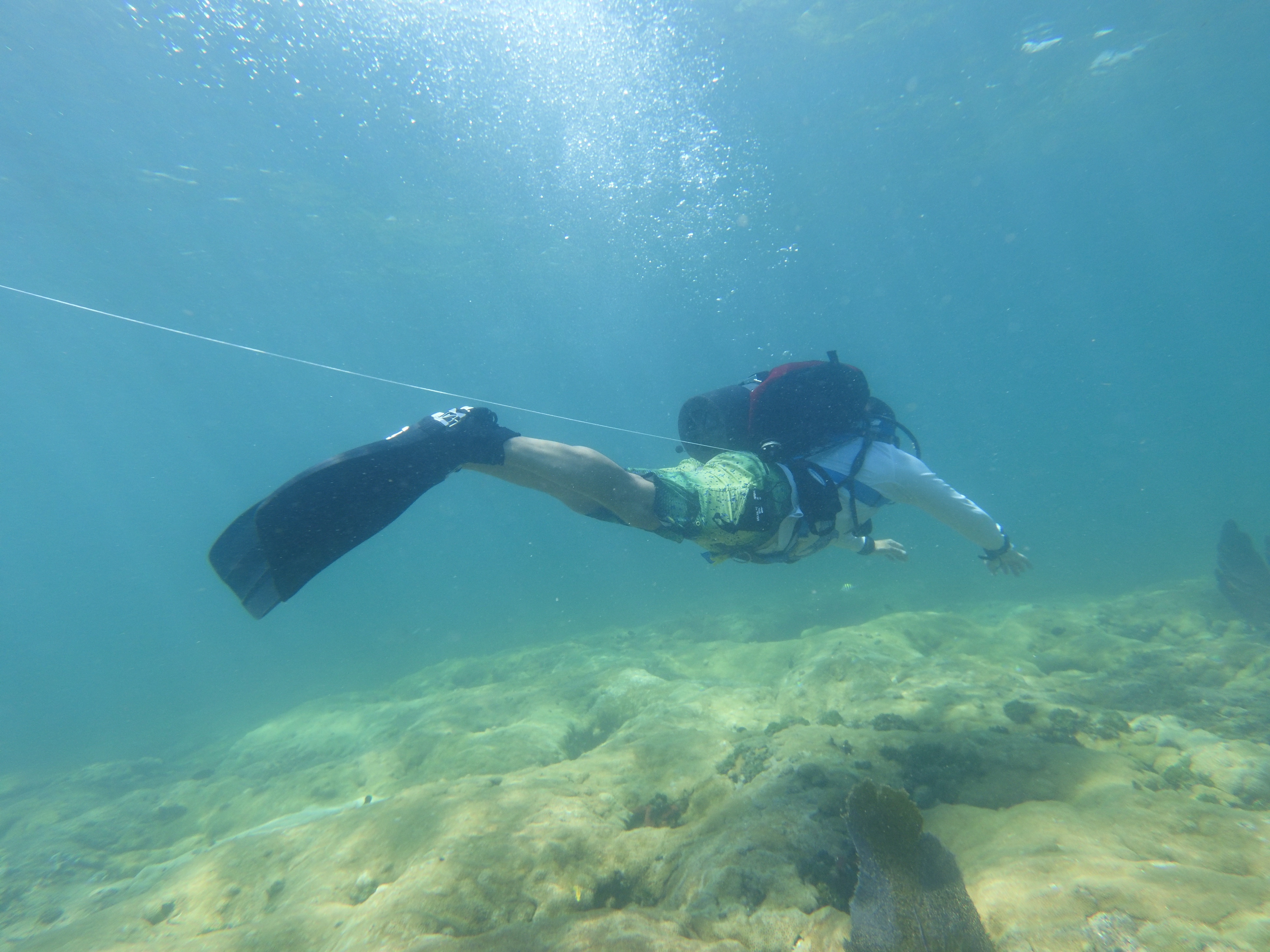 Reef Cleanup Dive (2 Tank Open Water Level)